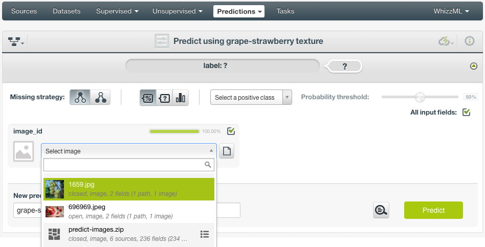 \includegraphics[]{images/ensemble-predictions/ensemble-predict-image-select-single}