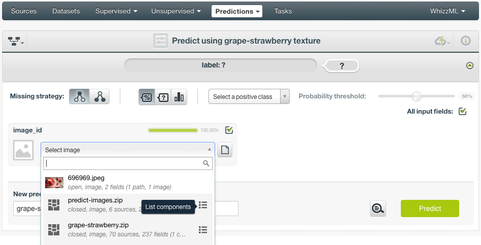 \includegraphics[]{images/ensemble-predictions/ensemble-pred-image-list-components}