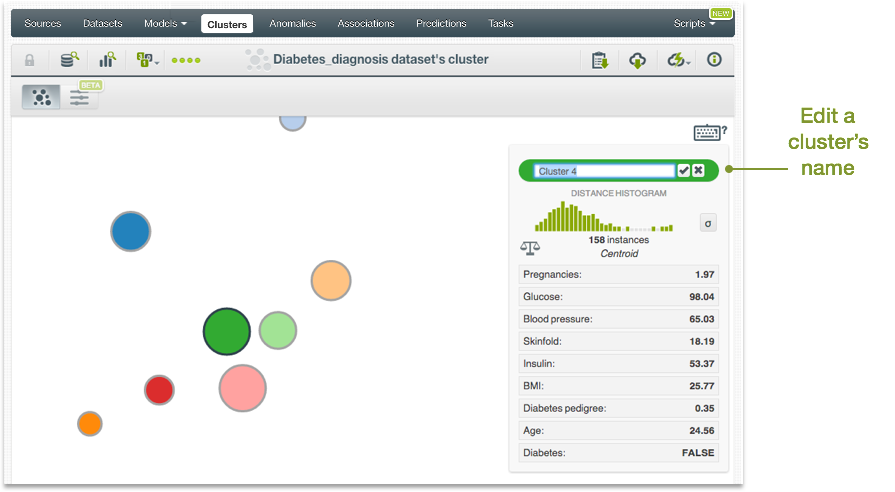 \includegraphics[]{images/clusters/edit-cluster-name}