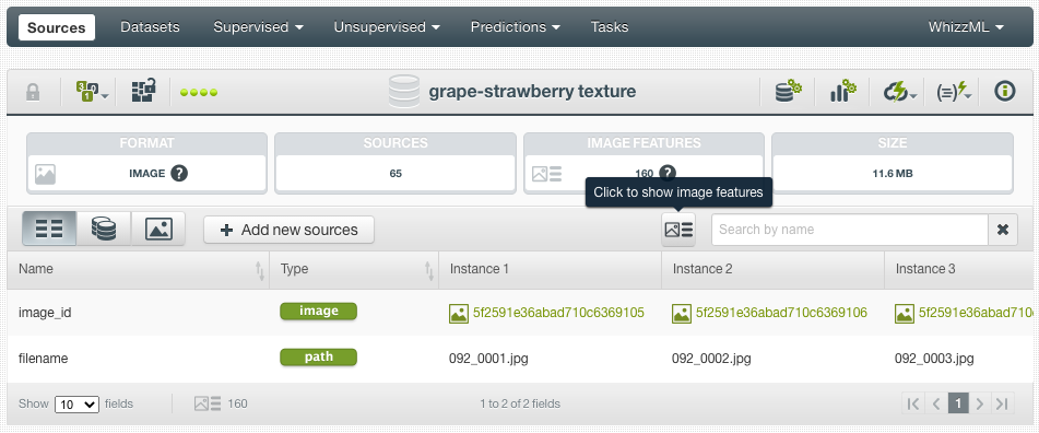 \includegraphics[]{images/sources/source-composite-fields-view-features-icon}